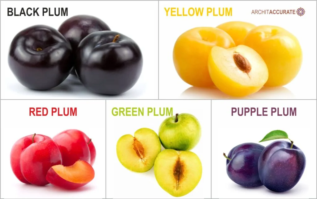 PLUMS : Health Benefits & Nutrition Info